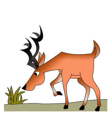 Cautious Antelope Coloring Pages